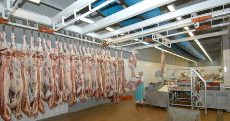 Дезинсекция на мясокомбинате в Можайске, цены на услуги